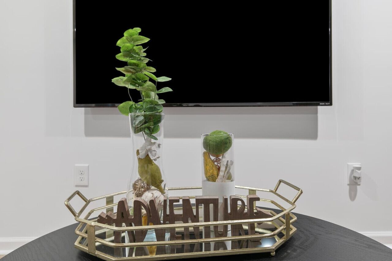 Una habitación con un televisor negro montado en la pared, una planta decorativa en un florero transparente y una bandeja metálica con la palabra 'ADVENTURE'.