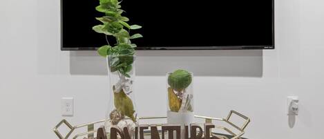 Una habitación con un televisor negro montado en la pared, una planta decorativa en un florero transparente y una bandeja metálica con la palabra 'ADVENTURE'.