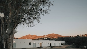 Un edificio moderno con fachada blanca, un camino de entrada curvo y un paisaje montañoso de fondo.