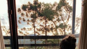 Una persona relajándose en un jacuzzi con una copa de vino, con vistas a árboles a través de amplios ventanales.