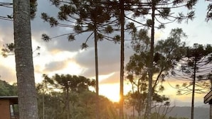 Una terraza de madera con barandilla metálica, rodeada de hierba verde exuberante y una palmera, con un atardecer al fondo.