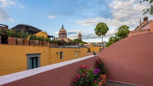 Una terraza en la azotea con plantas en macetas y vistas a un edificio histórico con cúpula.