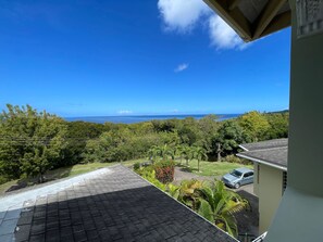 Property grounds - Luxury Villa w/Aircon and Pool Table (Salem)