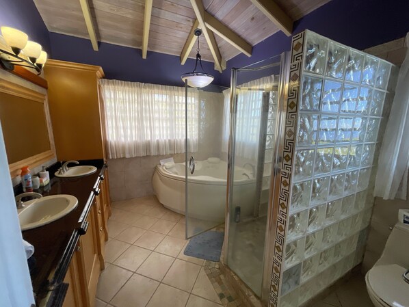 Une salle de bain avec une baignoire, un espace douche et un lavabo.