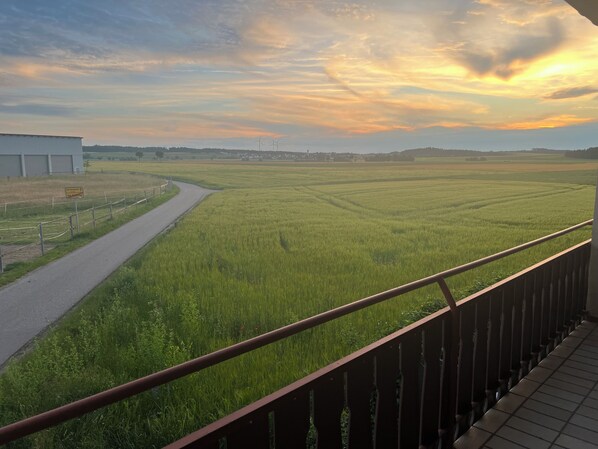 Property grounds - Cozy semi-detached house in the countryside with terrace (Bad Schussenried)