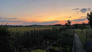 Ein Garten mit einem Metallzaun, einem Weg und einem Sonnenuntergang im Hintergrund.