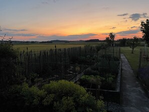 Property grounds - Cozy semi-detached house in the countryside with terrace (Bad Schussenried)