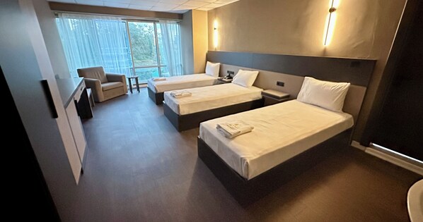 1 chambre, espace de travail pour ordinateur portable, Wi-Fi gratuit