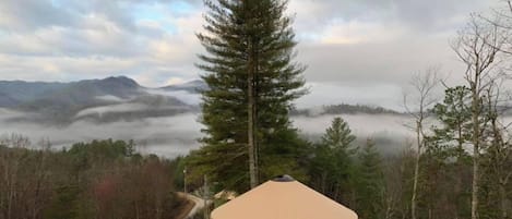 Eine Jurte mit einer Holzdielen-Terrasse und einem Feldweg, der davorhin führt, umgeben von einem Wald und Bergen im Hintergrund.