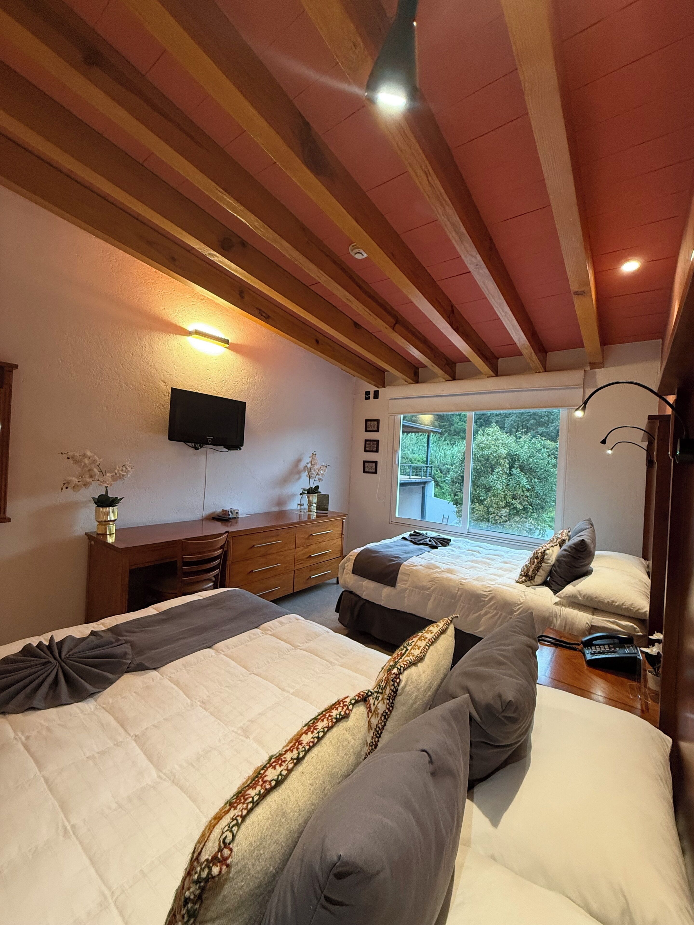 Une chambre avec deux lits, un bureau, une télévision et une fenêtre donnant sur un espace verdoyant.