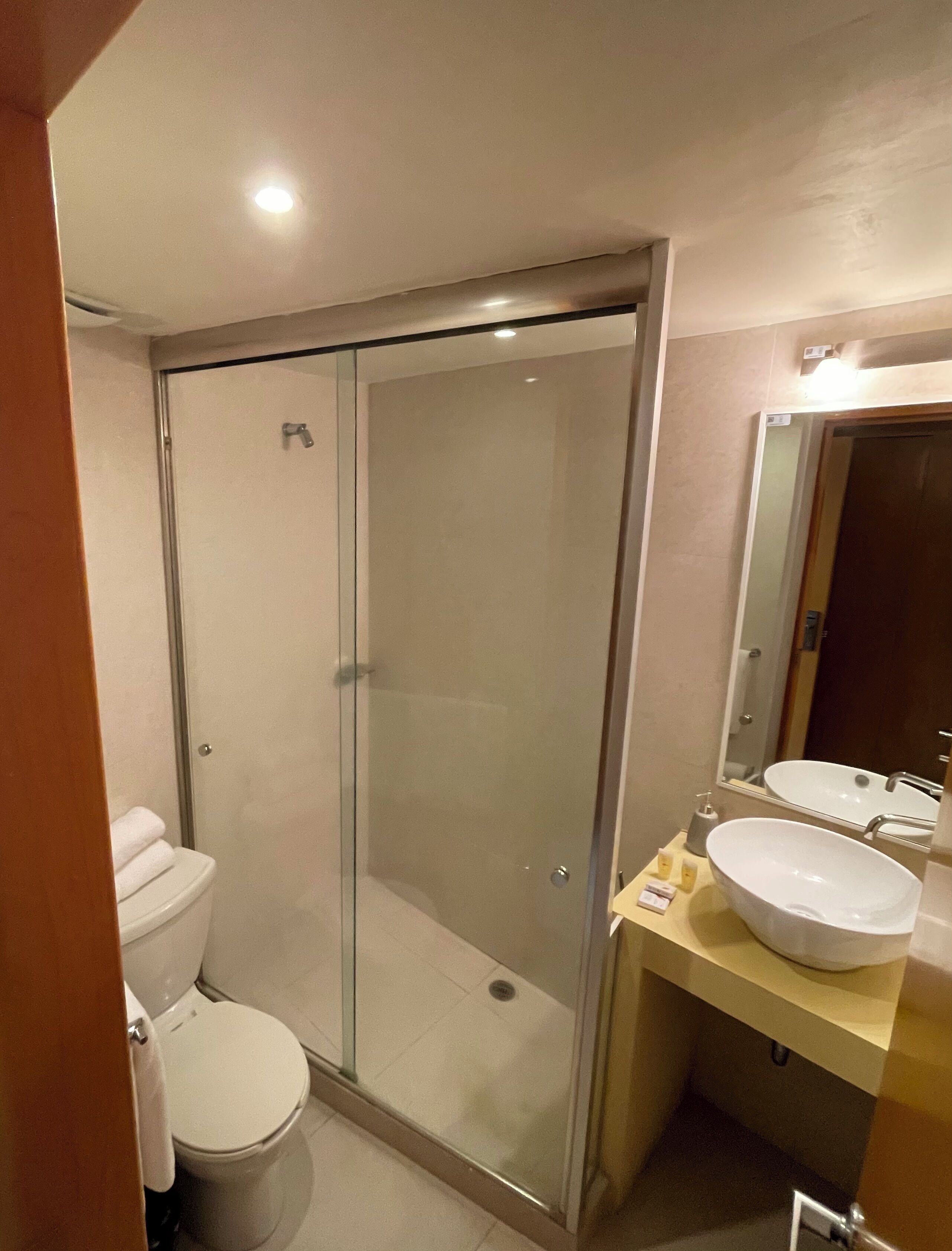 A modern bathroom with a glass-enclosed shower, a toilet, and a sink with a mirror.