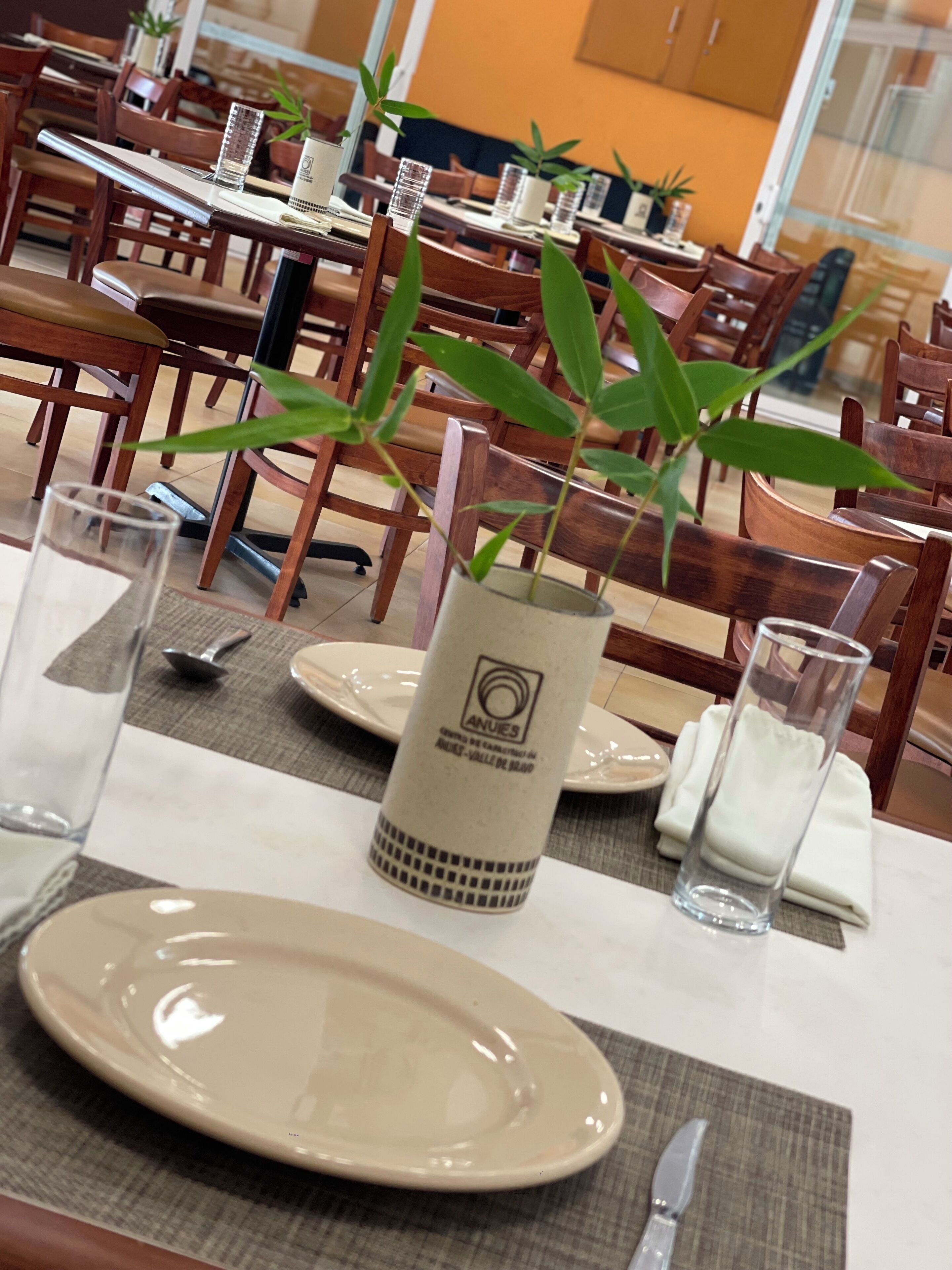 A dining table with a plate, glass, and a vase with a plant.