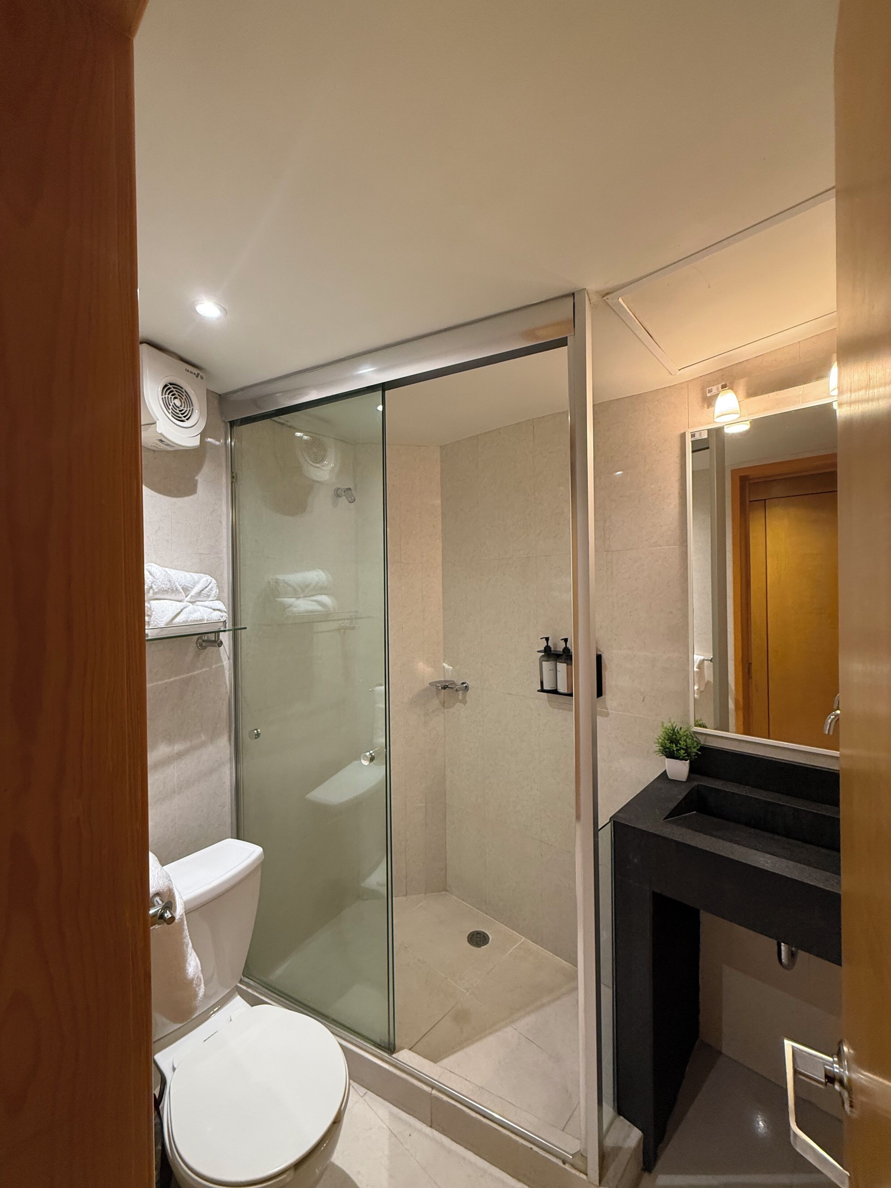 A modern bathroom with a glass-enclosed shower, a toilet, and a sink with a mirror above it.