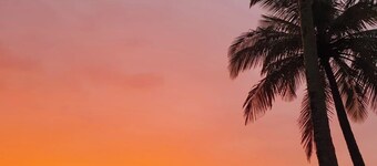 Apartamento Muito Aconchegante bem Completo, Apenas 150metros da Praia