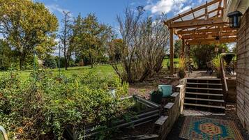 A garden with a wooden pergola, a pathway leading to a house, and a variety of plants and shrubs.