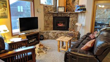 Smart TV, fireplace, video library, stereo