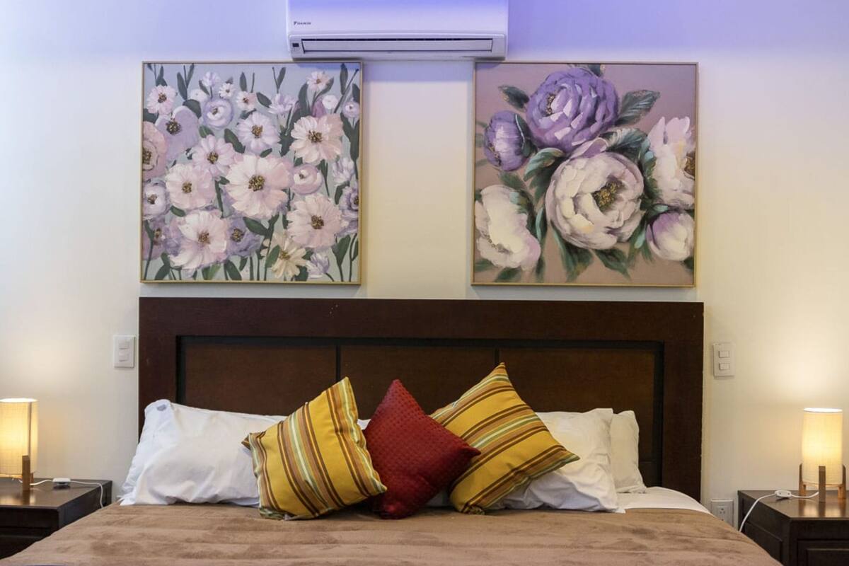 City Studio Suite
