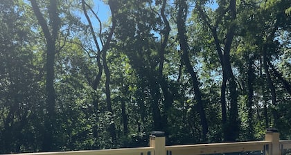 Brand NEW build. A-frame 2bed+/2bath. Nature paradise. Pepin, WI.