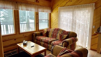 Smart TV, chimenea y libros