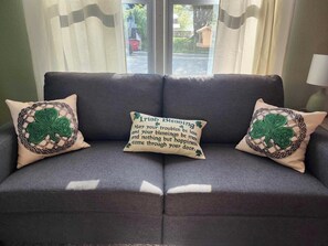 TV connectée, cheminée, lecteur de DVD, livres