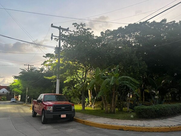 A red pickup truck parked on a street with a sidewalk and lush greenery, including banana trees and other tropical plants.