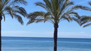 A paved walkway with palm trees and a view of the ocean. - R151 - Apart Beachfront (Calafell)