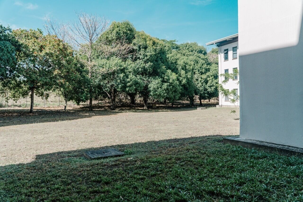 A grassy outdoor area with trees and a white building in the background.
