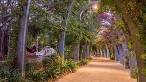 A pathway lined with trees and concrete pillars, leading to a structure in the distance.