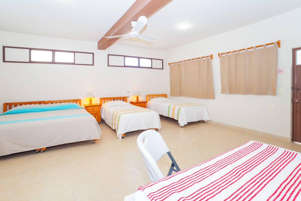 Une chambre d’hôtel avec deux lits simples, un ventilateur de plafond, une grande fenêtre avec des rideaux et une chaise blanche.