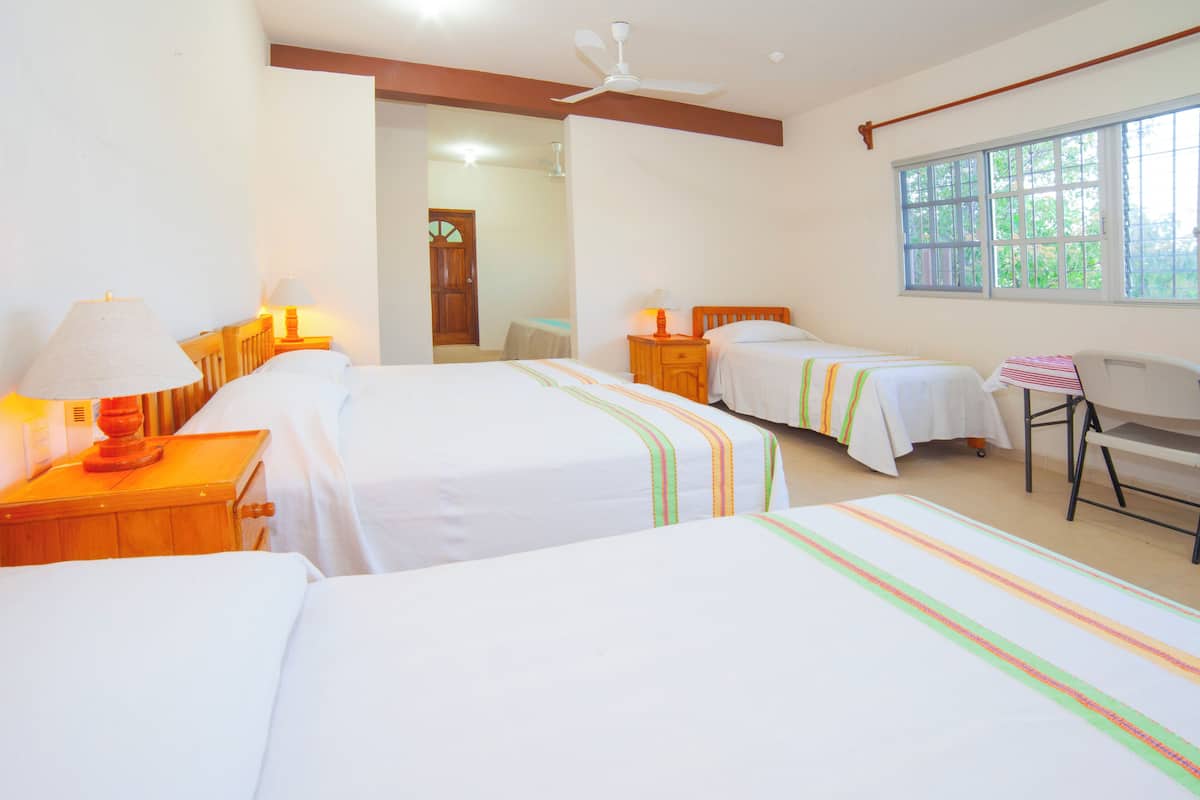 Chambre Panoramique