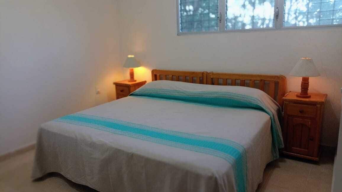 Habitación panorámica | Sábanas de algodón egipcio, ropa de cama de alta calidad y edredón 