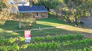 A house with a solar panel roof, surrounded by a well-maintained garden and vineyard.