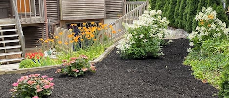 Áreas de la propiedad