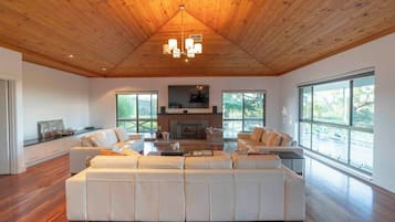 TV, fireplace