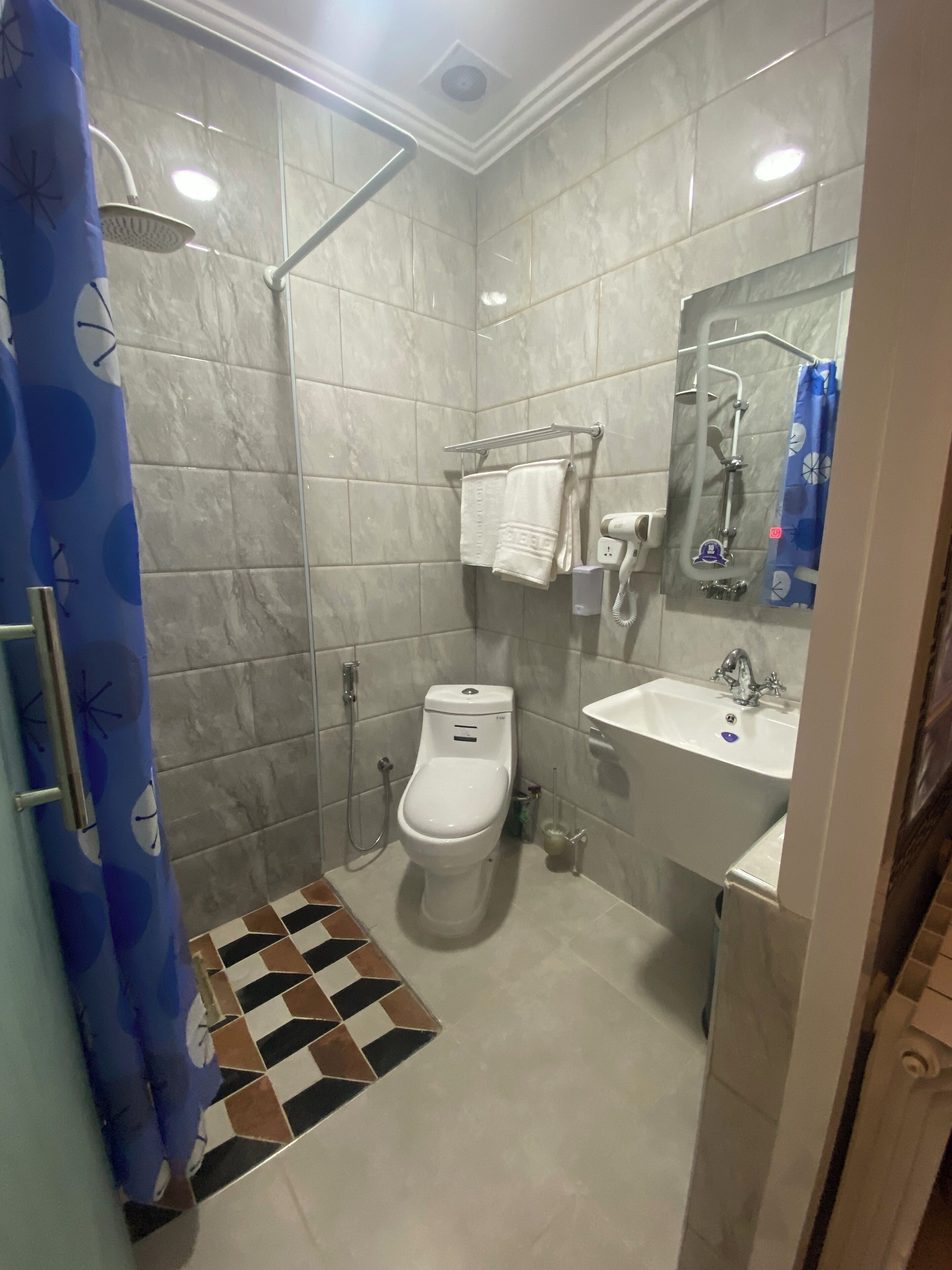 Een badkamer met een douche, toilet en wastafel.