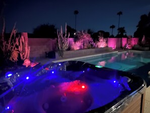 Une piscine avec un jacuzzi, entourée de plantes aménagées et de palmiers.