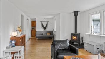 Älytelevisio, takka