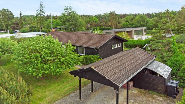 A residential area with two houses, one with a sloped roof and another with a flat roof, surrounded by lush greenery and trees.