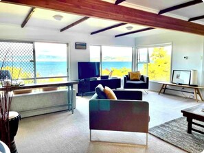 Smart TV, fireplace, books