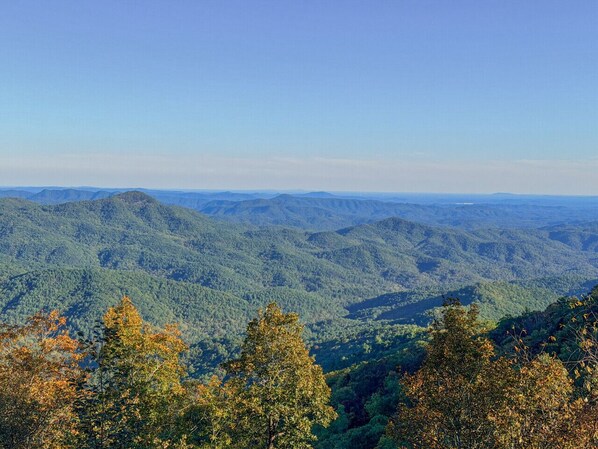 A mountainous landscape with dense forest coverage.