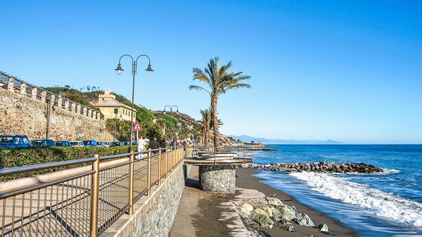 Un paseo marítimo con una palmera, un muro de piedra y un cielo azul despejado.