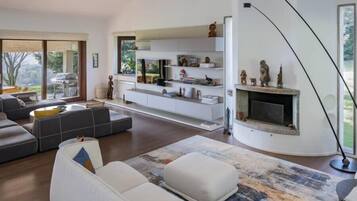 TV, fireplace, table tennis, books