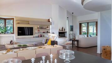 TV, fireplace, table tennis, books
