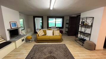 TV, fireplace, table tennis, books