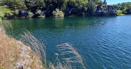 Authentic Reconnection With Nature - Lakeside RV Camping in North Florida