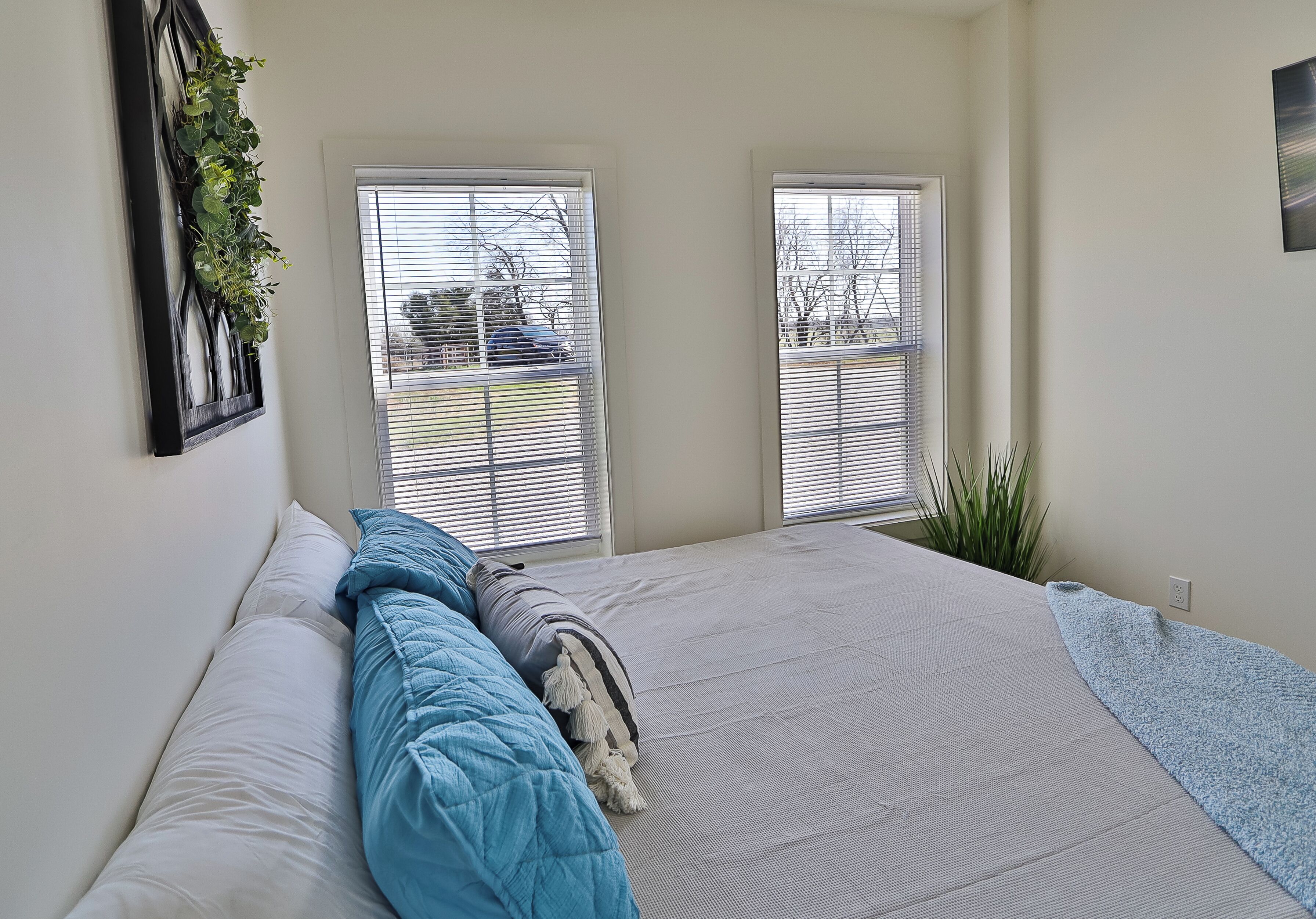 A bedroom with a bed, two windows with blinds, a wall-mounted plant, and a small bedside table.
