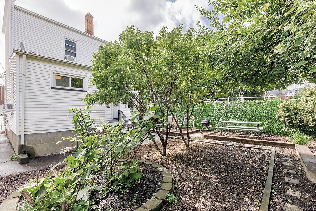 A residential backyard with a garden bed, a wooden bench, and a small tree.