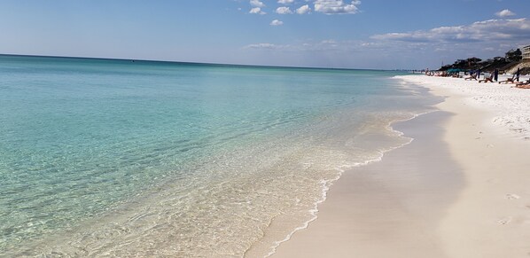 Sun-loungers, beach towels - A Snowbird's Lake and Gulf Dream on 30A (Santa Rosa Beach)