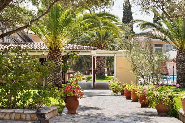 A pathway lined with potted plants and palm trees, leading to a building with a tiled roof.