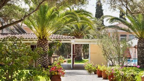 A pathway lined with potted plants and palm trees, leading to a building with a tiled roof.